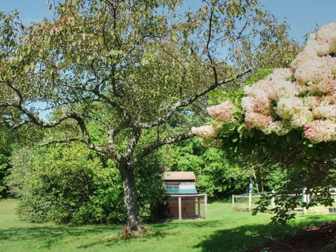 273 Yantz Hill Road Williston VT 05495