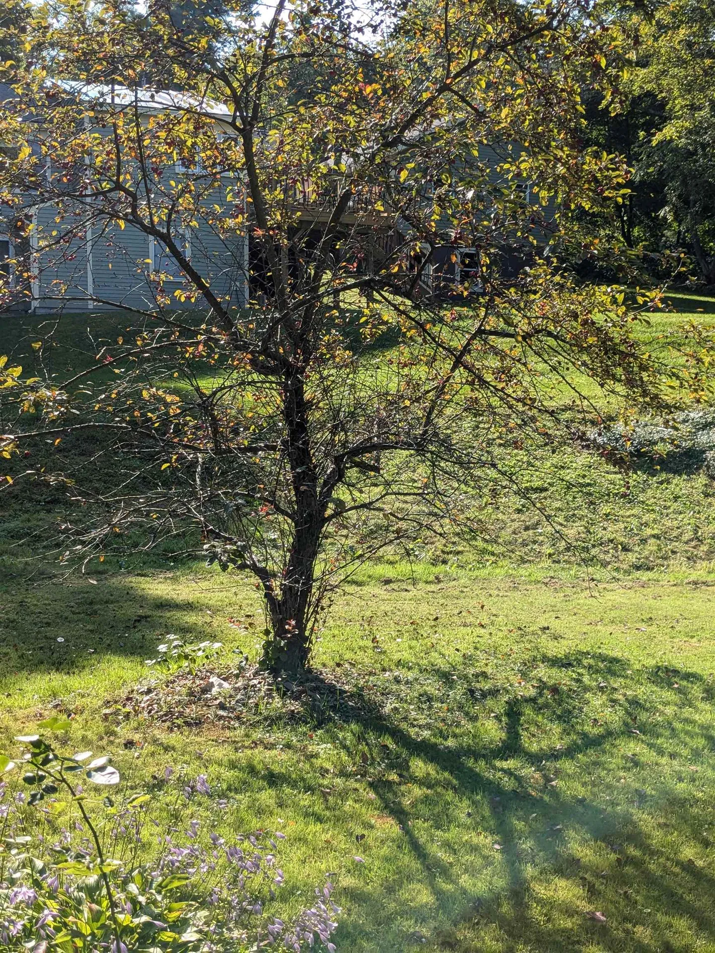 25 Ford Avenue Walpole NH 03608