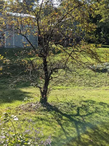 25 Ford Avenue Walpole NH 03608