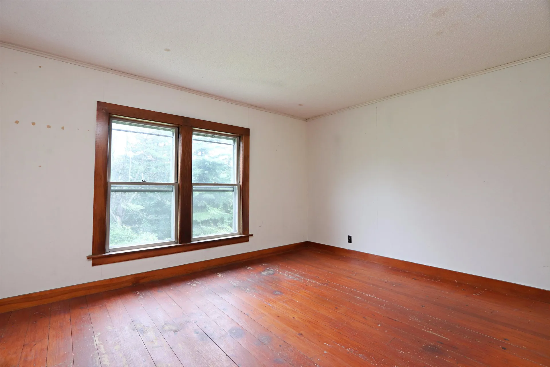 264 Bimson Drive Barnet VT 05821