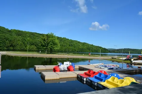 832 Covered Bridge Lane Grantham NH 03753