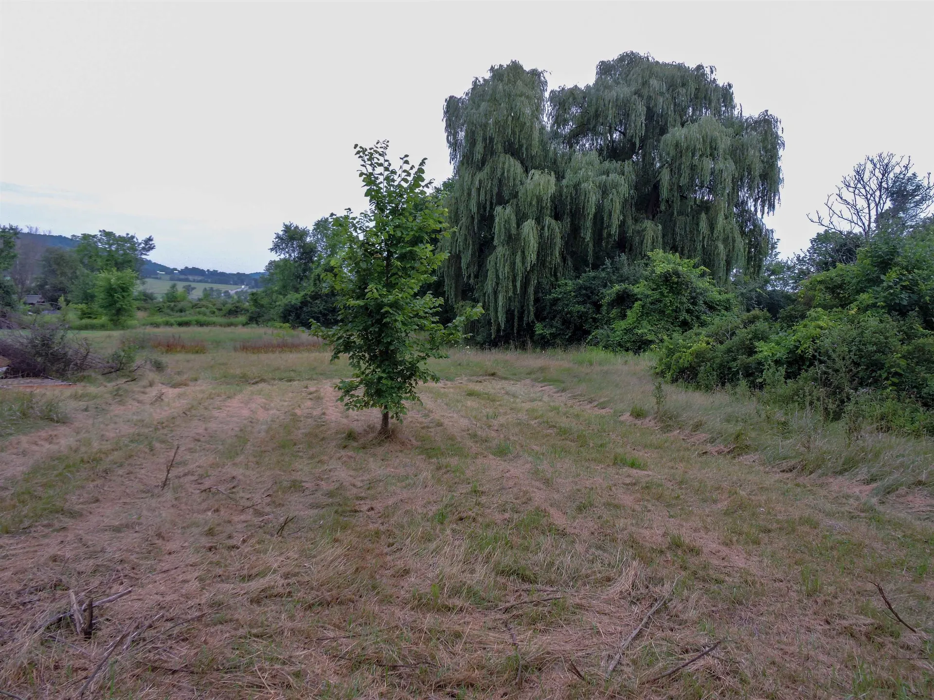 83 Park Avenue Bridport VT 05734