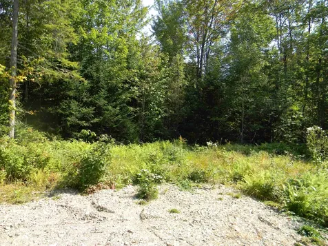 L52 Cloutier Drive Stark NH 03582