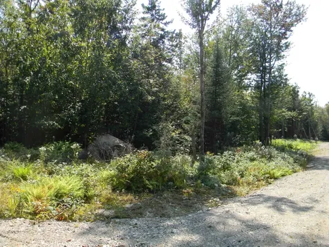 L52 Cloutier Drive Stark NH 03582
