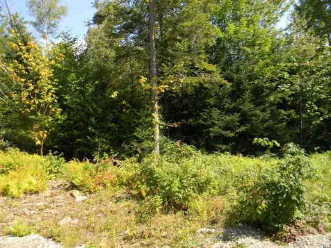 L52 Cloutier Drive Stark NH 03582