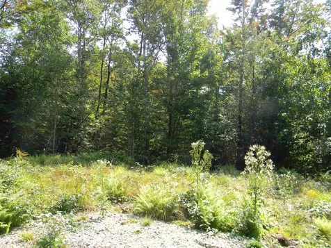 L52 Cloutier Drive Stark NH 03582