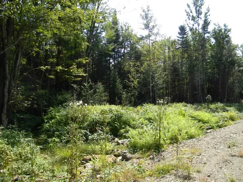 L52 Cloutier Drive Stark NH 03582