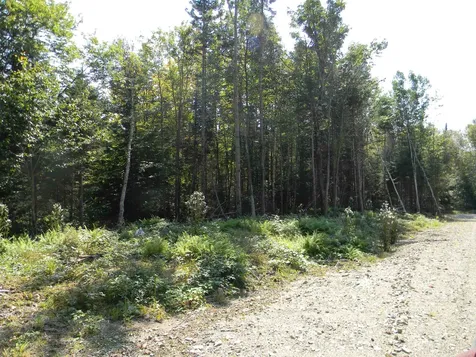 L52 Cloutier Drive Stark NH 03582