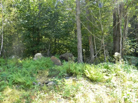 L52 Cloutier Drive Stark NH 03582