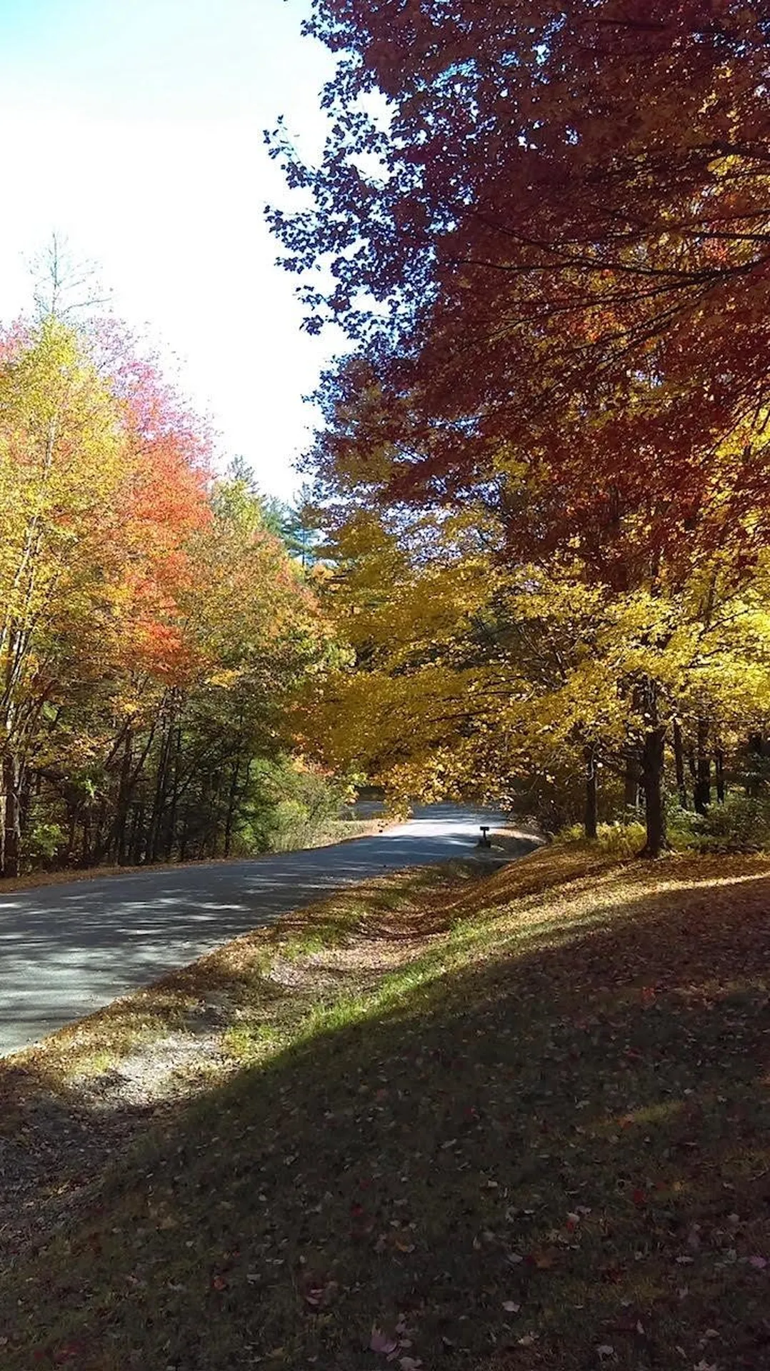 434 Scott Road Vernon VT 05354