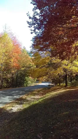 434 Scott Road Vernon VT 05354