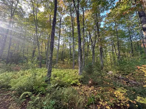 548 Haynes Road Stewartstown NH 03576