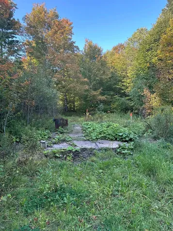 548 Haynes Road Stewartstown NH 03576