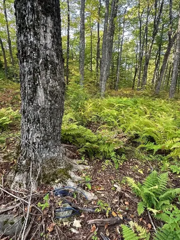 548 Haynes Road Stewartstown NH 03576
