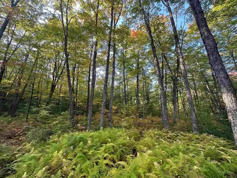 548 Haynes Road Stewartstown NH 03576