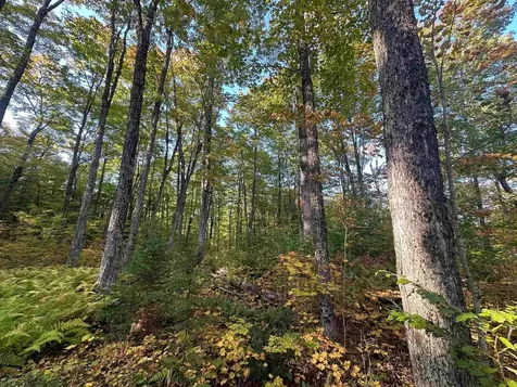 548 Haynes Road Stewartstown NH 03576