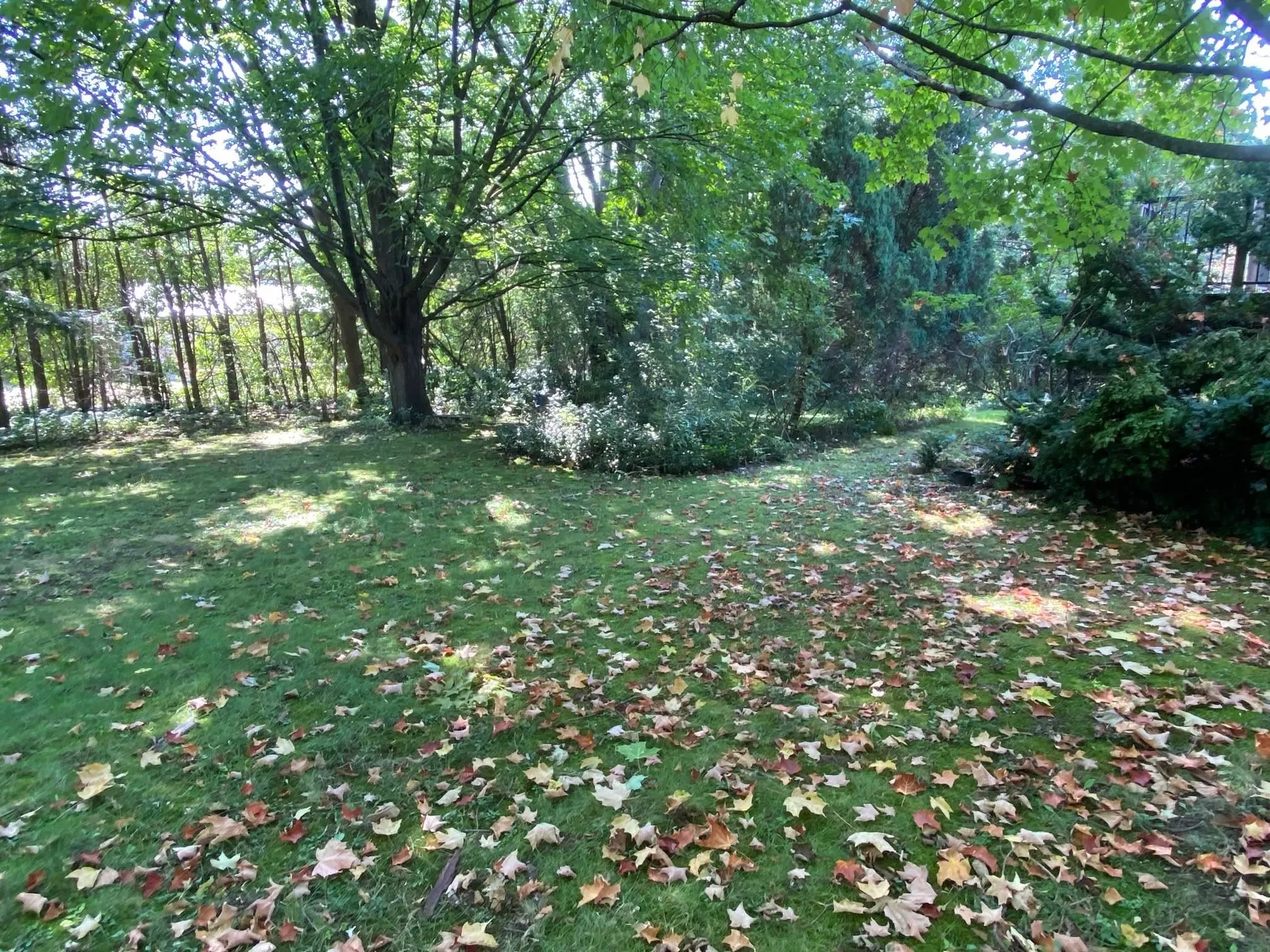192 Lea Drive Williston VT 05495