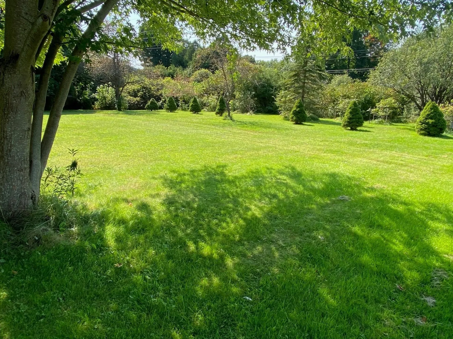 192 Lea Drive Williston VT 05495