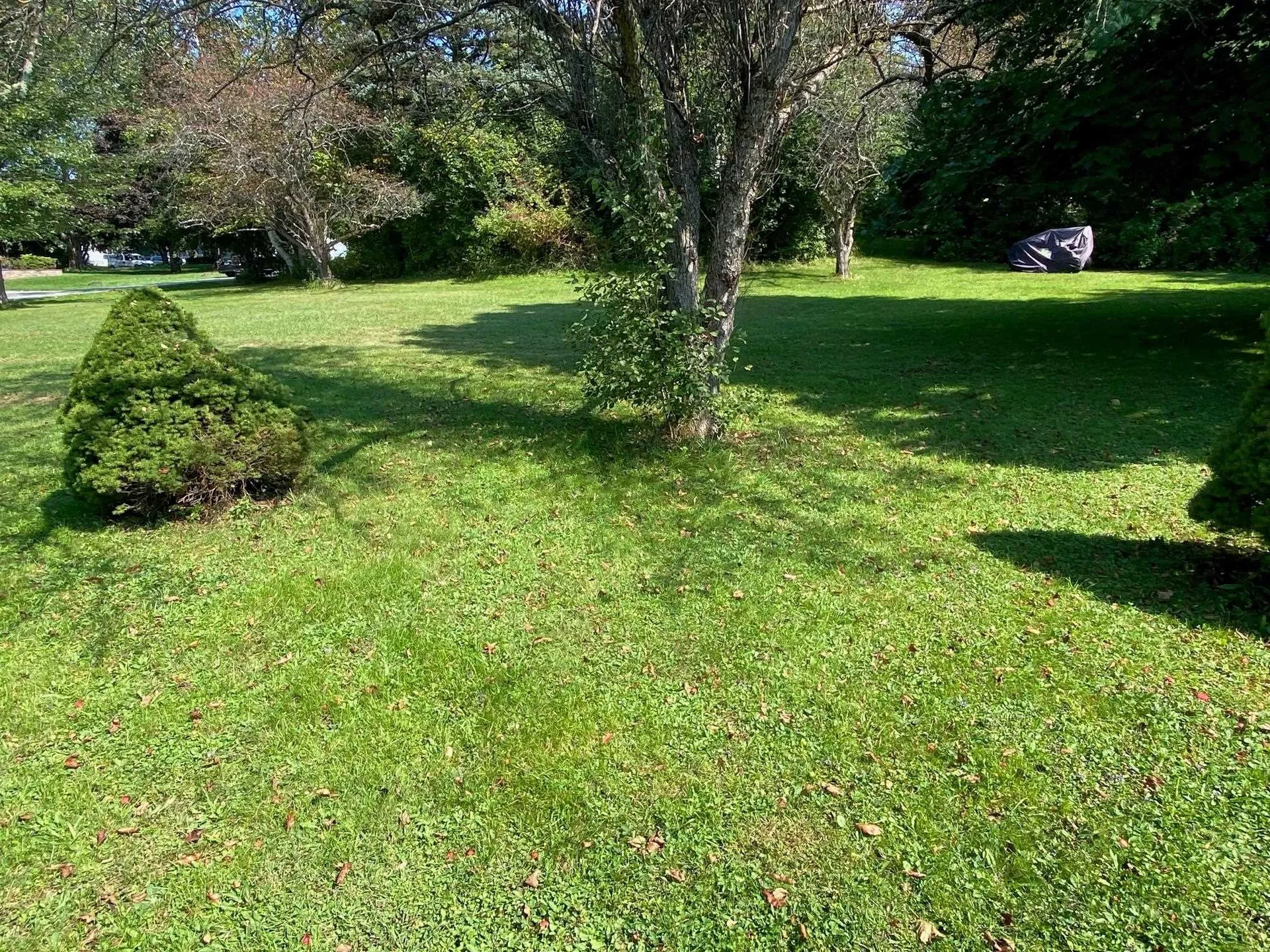192 Lea Drive Williston VT 05495