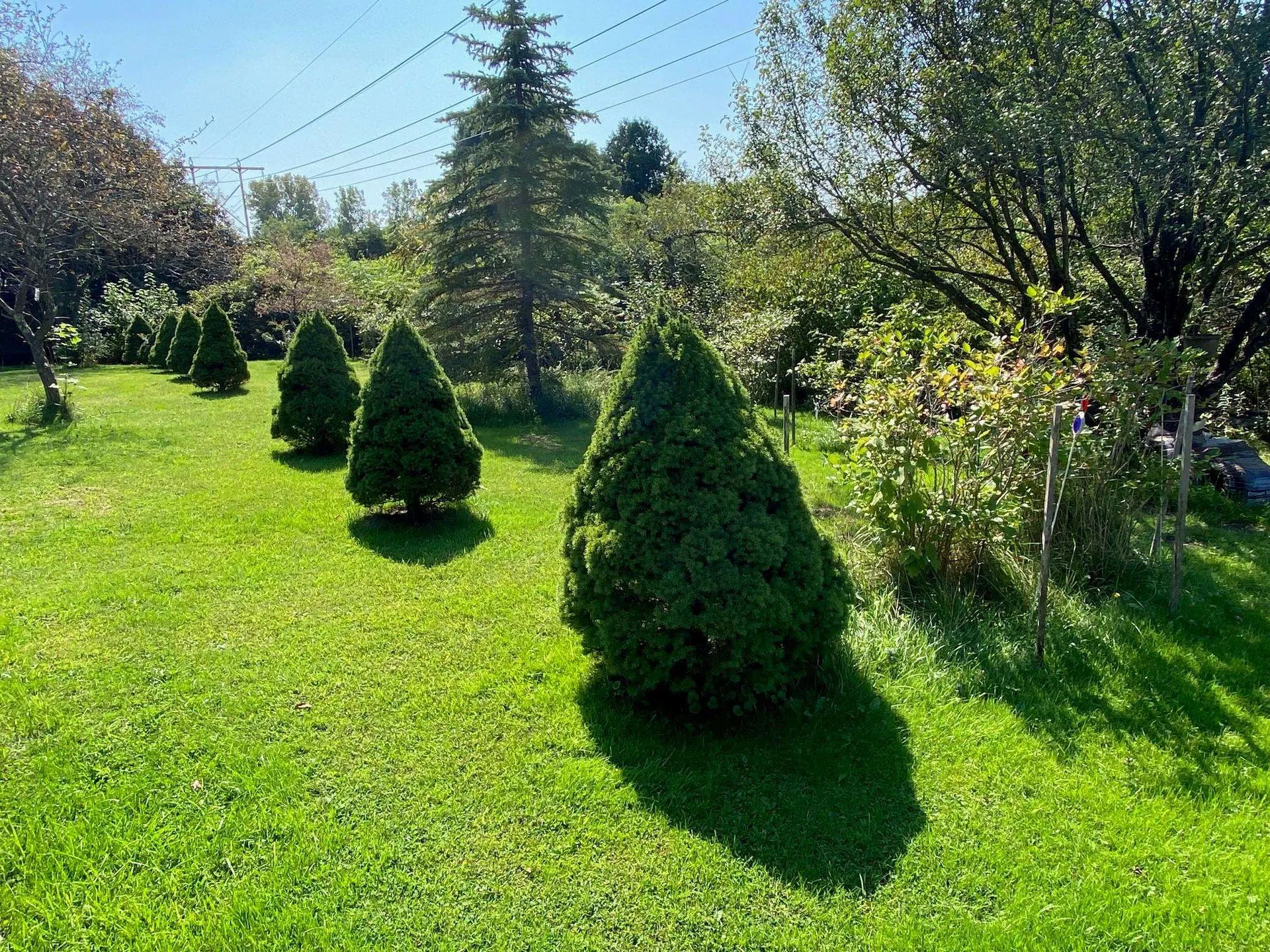 192 Lea Drive Williston VT 05495