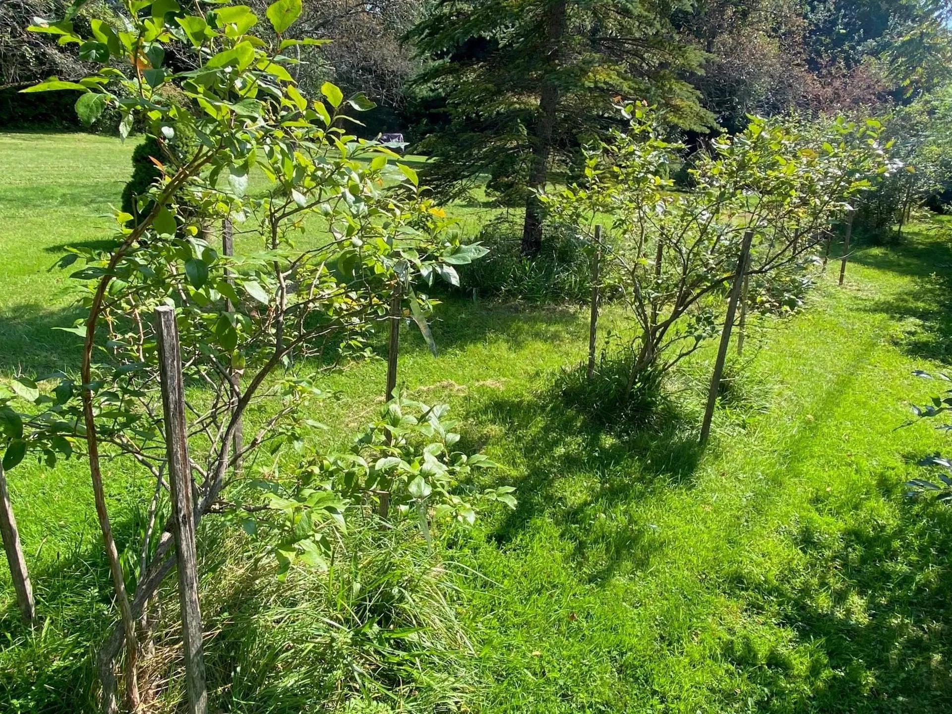 192 Lea Drive Williston VT 05495