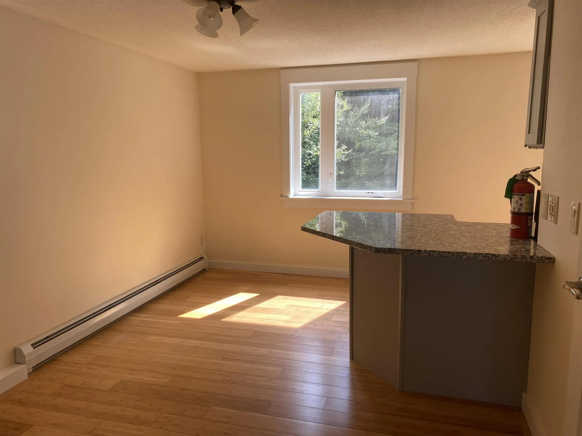 161 Vt Route 100 Dover VT 05356