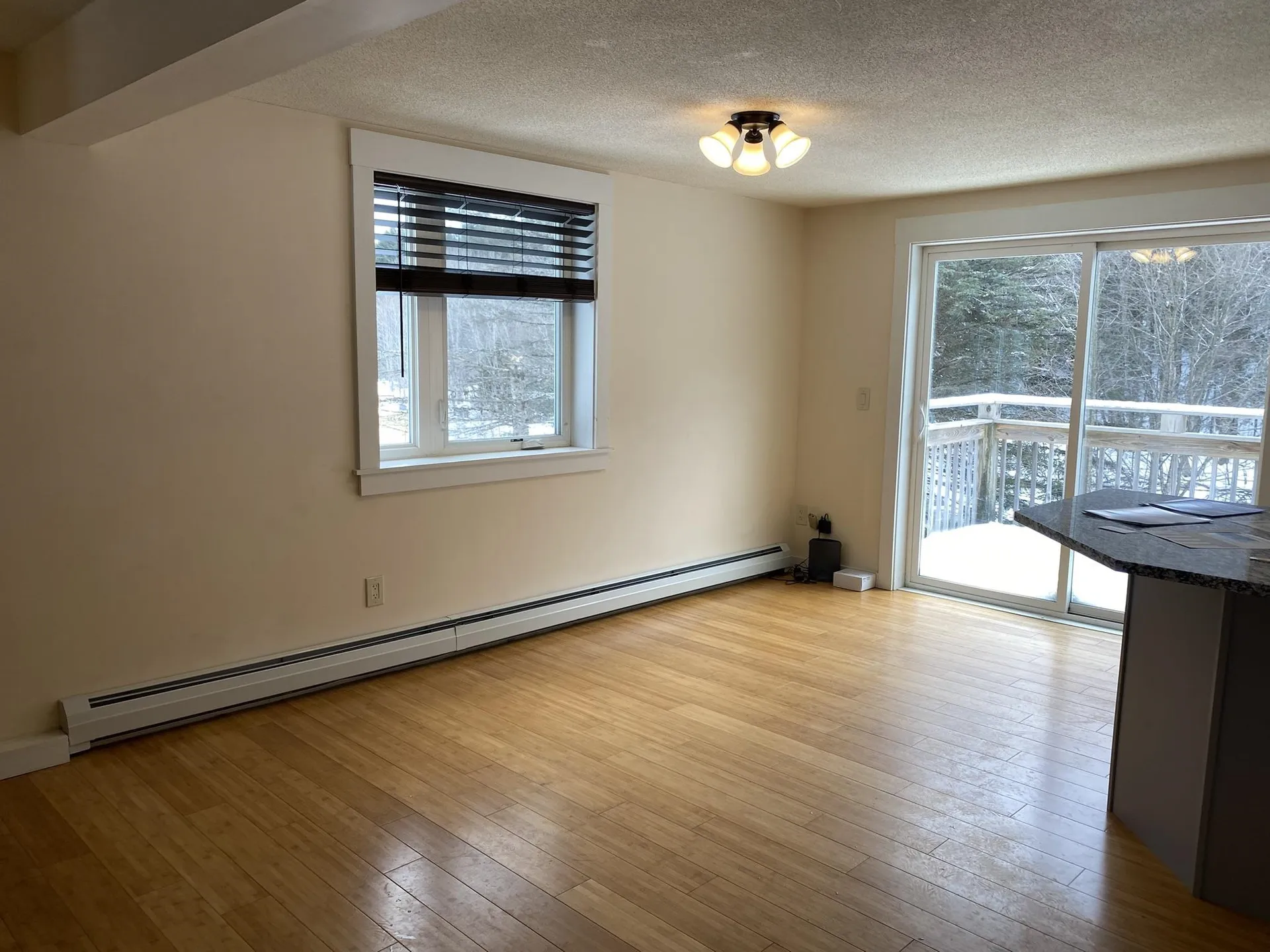 161 Vt Route 100 Dover VT 05356