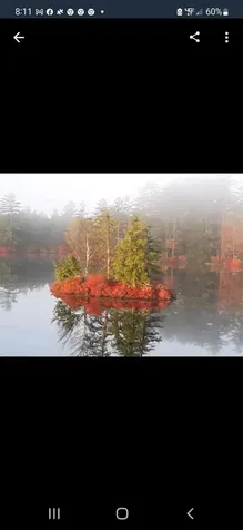 225 Hueber Drive Sanbornton NH 03269