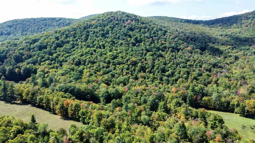 00 Stagecoach Road Grafton VT 05146