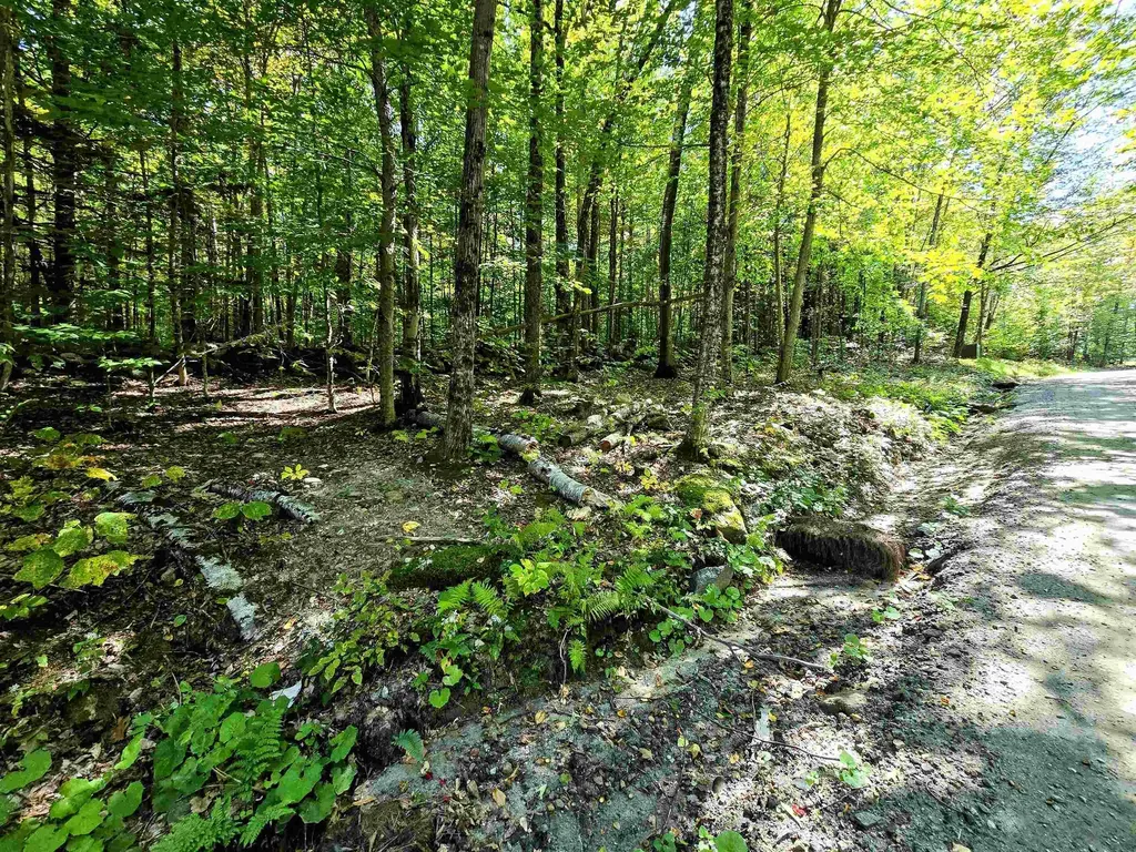 00 Stagecoach Road Grafton VT 05146