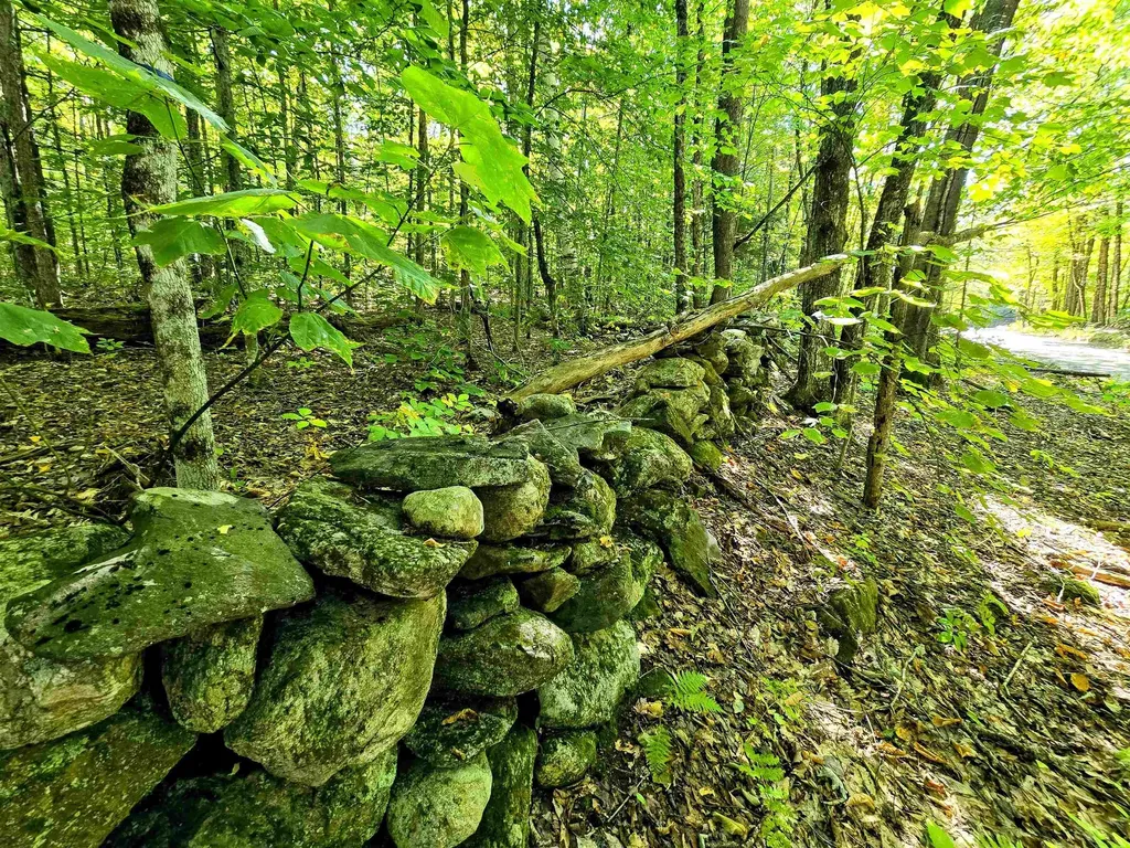 00 Stagecoach Road Grafton VT 05146