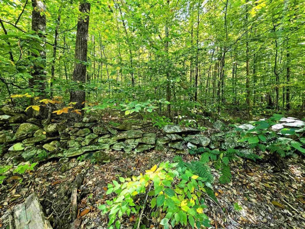 00 Stagecoach Road Grafton VT 05146