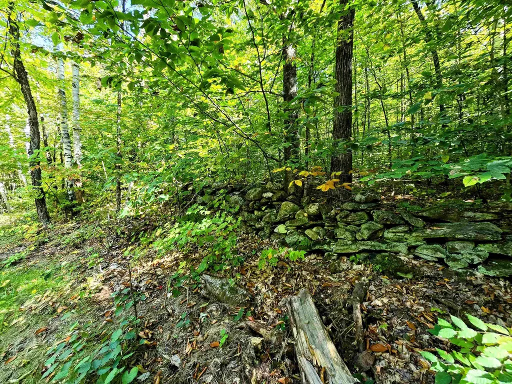 00 Stagecoach Road Grafton VT 05146