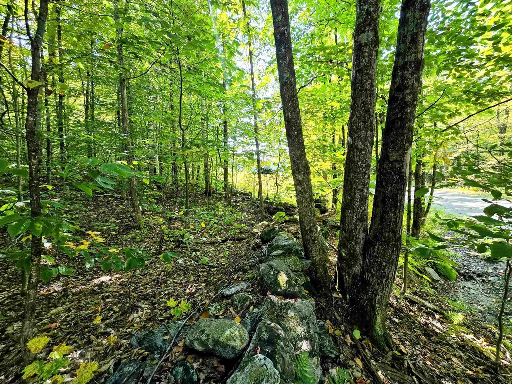 00 Stagecoach Road Grafton VT 05146