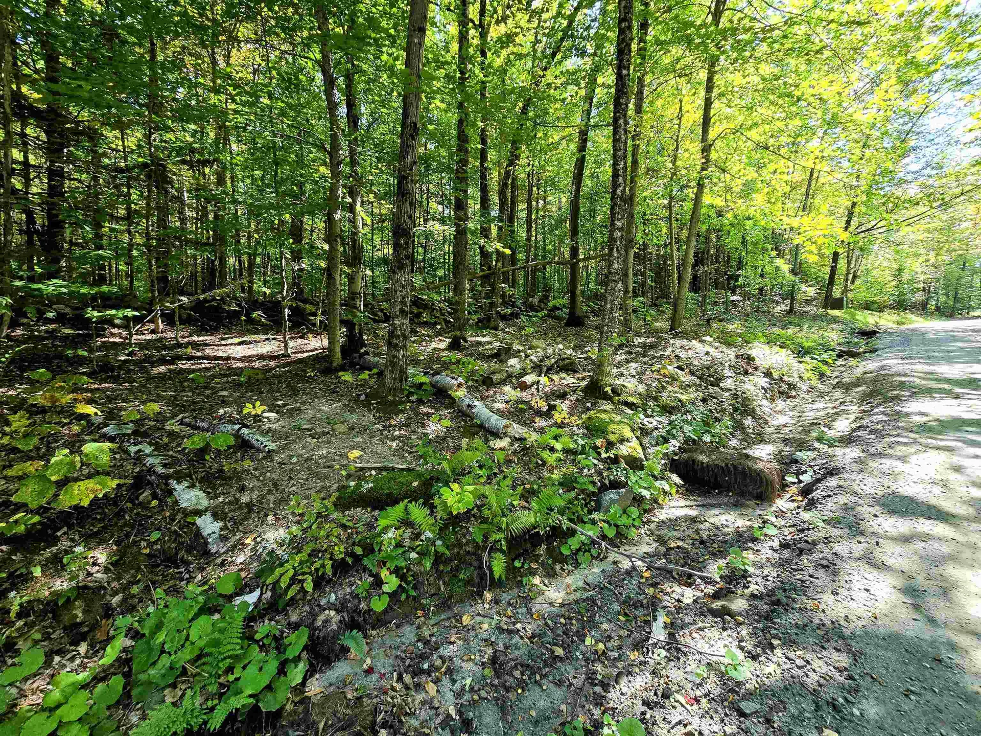 00 Stagecoach Road Grafton VT 05146