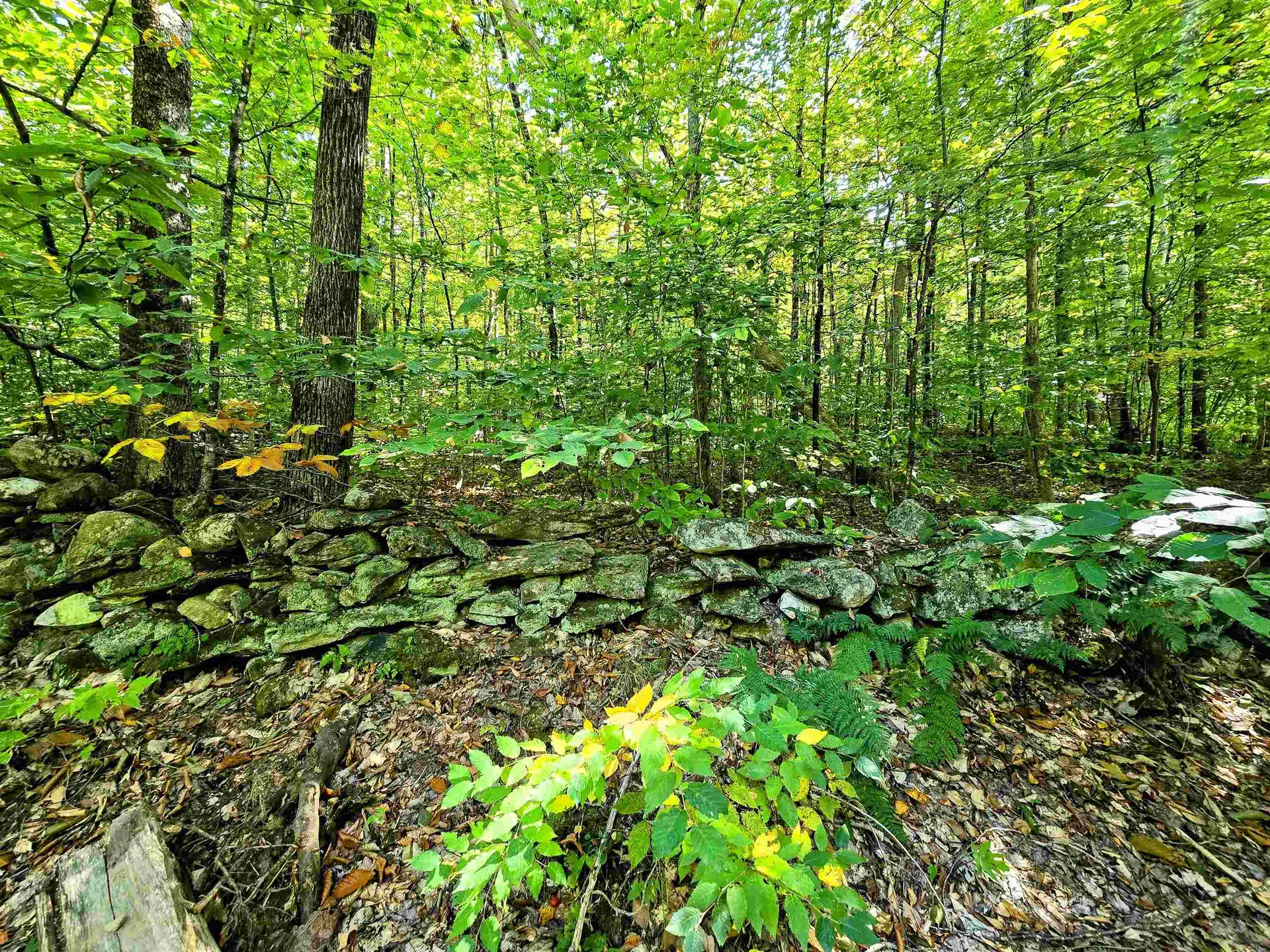 00 Stagecoach Road Grafton VT 05146