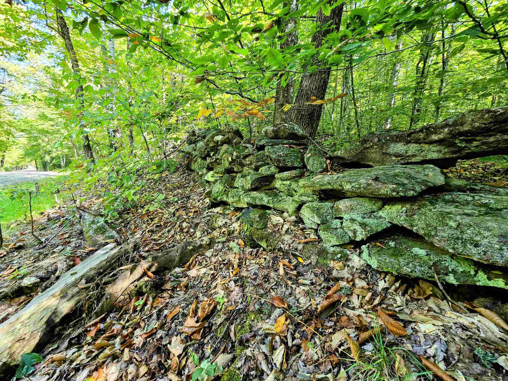 00 Stagecoach Road Grafton VT 05146