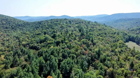 00 Stagecoach Road Grafton VT 05146