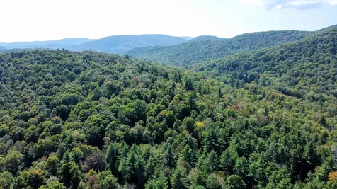 00 Stagecoach Road Grafton VT 05146