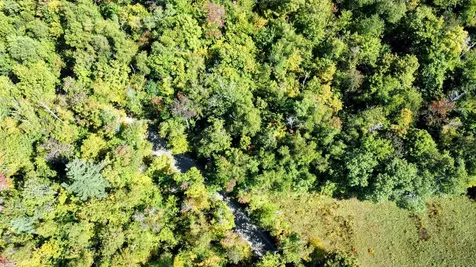 00 Stagecoach Road Grafton VT 05146