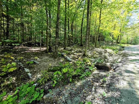 00 Stagecoach Road Grafton VT 05146