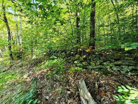 00 Stagecoach Road Grafton VT 05146