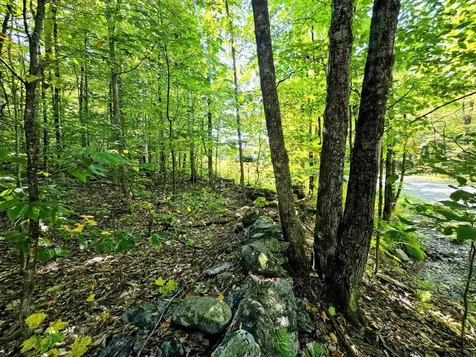 00 Stagecoach Road Grafton VT 05146