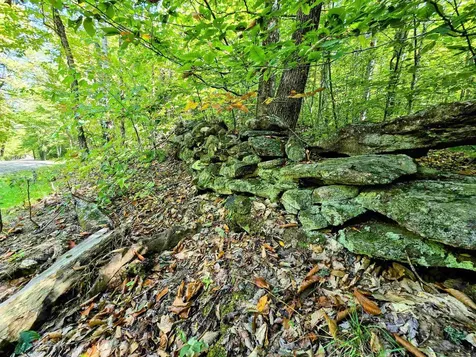 00 Stagecoach Road Grafton VT 05146