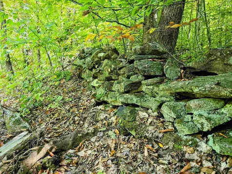 00 Stagecoach Road Grafton VT 05146