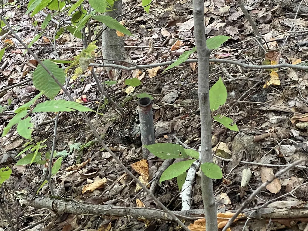 Oak Hill Road Wardsboro VT 05355