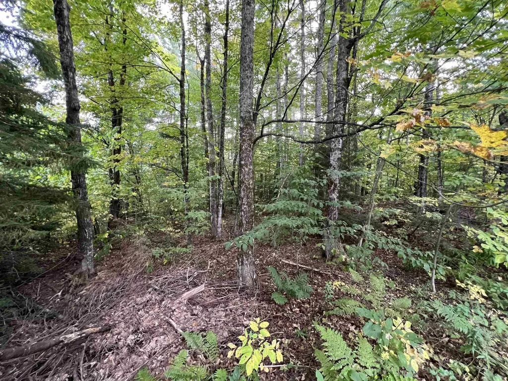 Oak Hill Road Wardsboro VT 05355