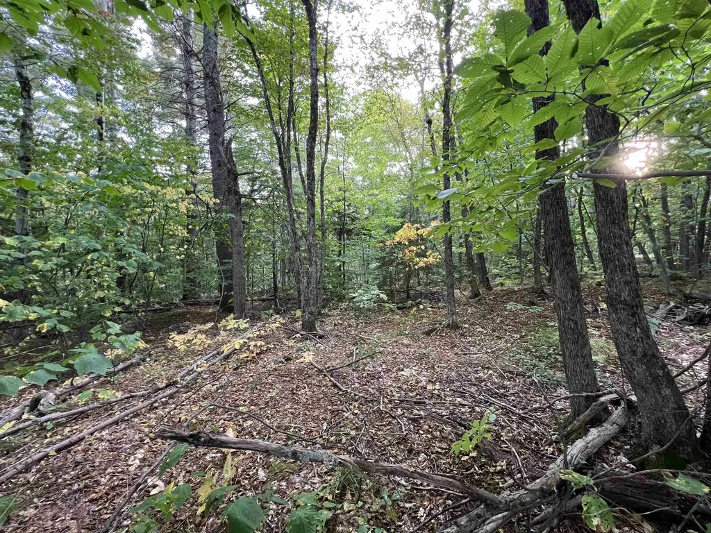 Oak Hill Road Wardsboro VT 05355