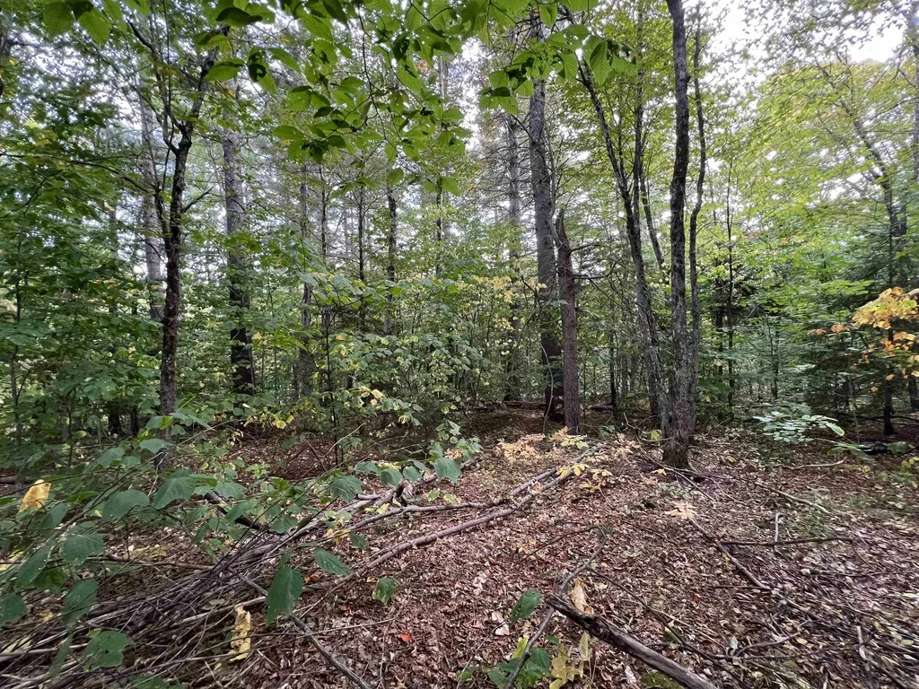 Oak Hill Road Wardsboro VT 05355