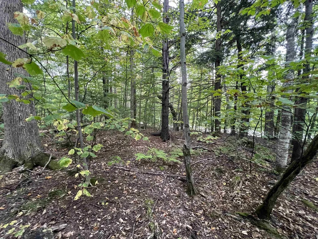 Oak Hill Road Wardsboro VT 05355